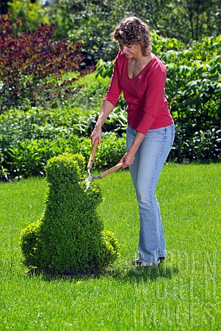 LADY_TRIMMING_BUXUS_TOPIARY_WITH_SHEARS