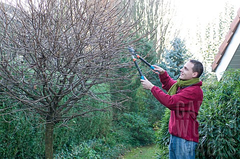 MAN_LOPPING_TREES_IN_WINTER