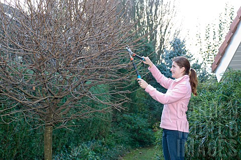 LADY_LOPPING_TREES_IN_WINTER