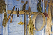 GARDEN TOOLS AND DRIED HERBS IN SHED IN THE VICTORIAN GARDEN BBC GARDENS THROUGH TIME HARLOW CARR GARDENS