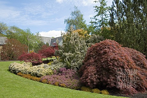 HEATHER_AND_ACER_BED_AT_HARLOW_CARR_GARDENS