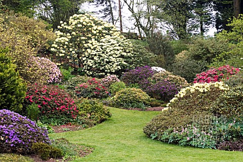 THREAVE_GARDENS_IN_LATE_SPRING