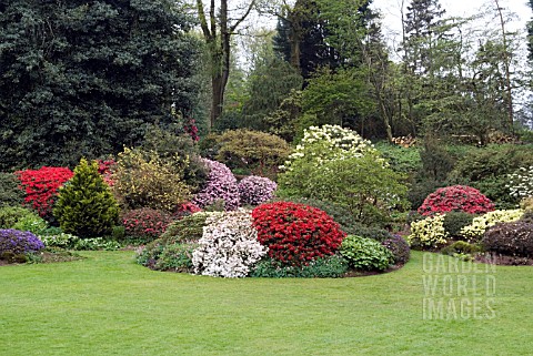THREAVE_GARDENS_IN_LATE_SPRING