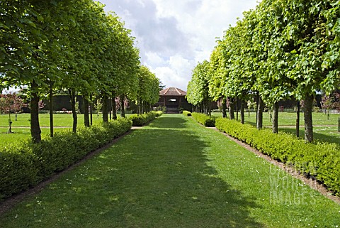 WALLED_GARDEN_AND_AVENUE_OF_TREES_AT_THREAVE_GARDEN