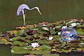 POND WITH NYMPHAEA, HERON SCULPTURE AND WATER BUBBLE