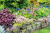 SPRING BORDER WITH DRYSTONE RETAINING WALL
