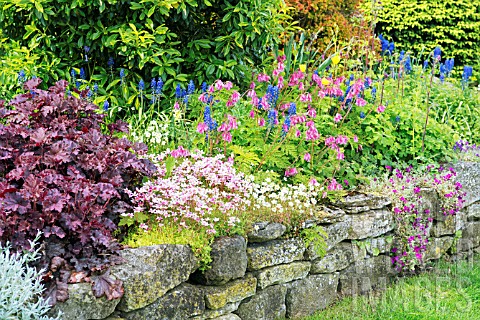 SPRING_BORDER_WITH_DRYSTONE_RETAINING_WALL