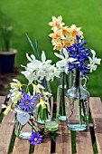 SPRING FLOWERS IN GLASS CONTAINERS