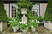 ORNATE STONE URNS, WHITE THEMED COLOUR OF PELAGONIUMS AT WOLLERTON OLD HALL