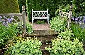 TERRACED SEATING AREA WITH ALCHEMILLA MOLLIS AT WOLLERTON OLD HALL