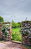 BRICK PATH TO WROUGHT IRON GATE WITH CLEMATIS MONTANA PINK PERFECTION AT WOLLERTON OLD HALL
