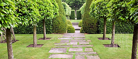 CLIPPED_LAURELS_WITH_VISTA_THROUGH_OPENINGS_IN_HEDGES_AT_WOLLERTON_OLD_HALL