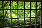 VIEW OUT FROM OLD WINDOW TO GARDEN AT WOLLERTON OLD HALL