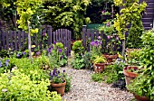 SUMMER GARDEN WITH POTS, GRAVEL PATH WITH TERRACOTTA POTS AROUND GARDEN GATE AND OPEN PALE COLOURED FENCE IN SUMMER GARDEN AT HIGH MEADOW CANNOCK WOOD