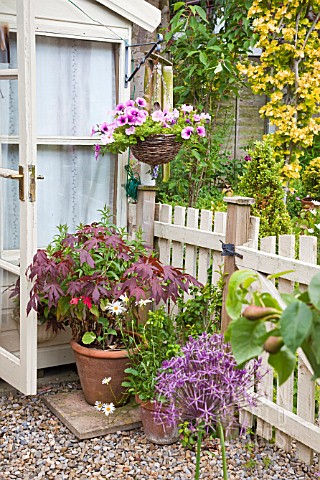 HANGING_BASKET_AND_CONTAINERS_AROUND_SUMMER_HOUSE_AT_HIGH_MEADOW_GARDEN