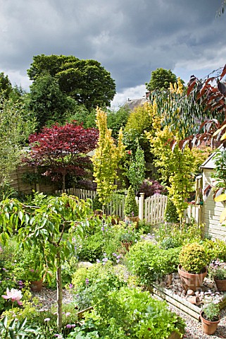 MATURE_TREES_AND_SHRUBS_AT_HIGH_MEADOW_GARDEN