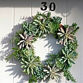 WREATH ON FRONT DOOR MADE FROM LIVING SUCCULENT PLANTS