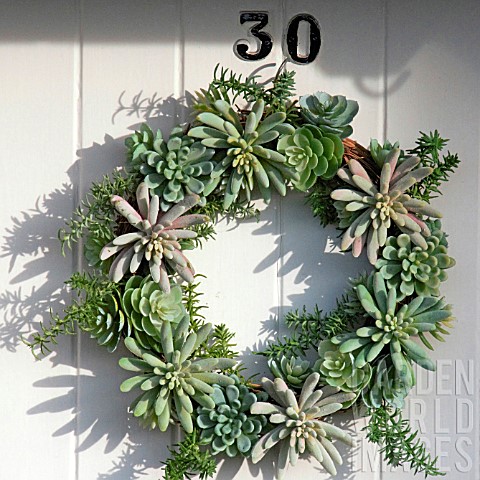 _WREATH_ON_FRONT_DOOR_MADE_FROM_LIVING_SUCCULENT_PLANTS