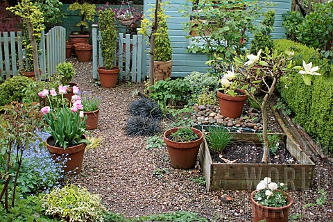 View_of_Photograhers_gravelled_garden_in_Spring