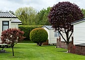 Holiday static caravan park with exclusively privately owned holiday homes set among trees, shrubs and flowers and sweeping well manicured lawns the park is situated minutes from the seaside resorts of Ceredigion