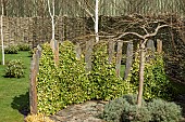 Garden feature grey slate pillars with ivy growing up them