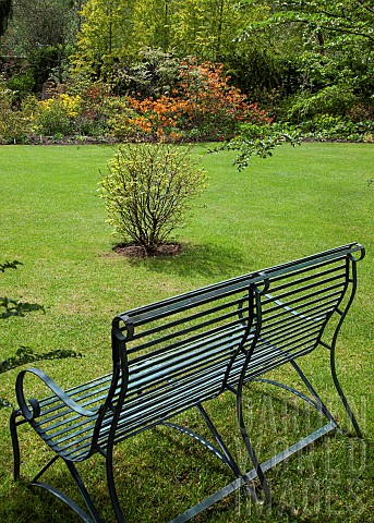 Green_metal_bench_looking_out_onto_garden_border_of_mature_shrubs_and_trees