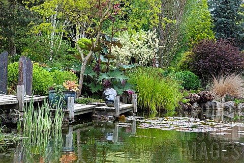 Pond_area_with_decking_silver_spheres_and_grey_slate_plinths_mature_shrubs_and_trees_in_May_Late_Spr