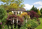 Border of herbaceous perennials mature trees and shrubs in May late Spring in John Massey`s Garden Ashwood