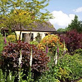 Border of herbaceous perennials mature trees and shrubs in garden