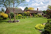 Sweeping lawns and borders of herbaceous perennials, shrubs and mature tree with wooden seat around in May at Ashwood (NGS) West Midlands
