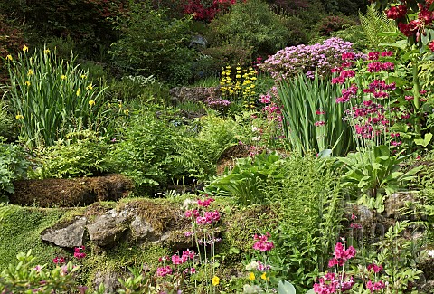 Dell_with_stream_waterfall_and_rock_garden_shade_loving_ferns_and_plants_striking_Azaleas_and_Rhodod
