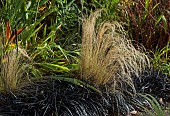 Perennial Ornamental grasses