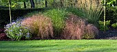 Border with Asters and wide a variety of perennial ornamental grass and trees