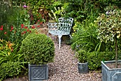 A plant lovers cottage garden herbaceous perennials with