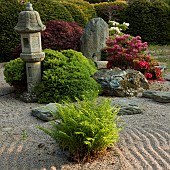 Japanese Garden in late Spring