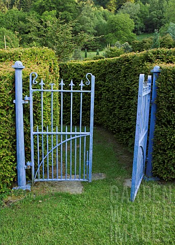 Wrought_Iron_classic_garden_gates_painted_in_stunning_azure_blue