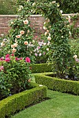 Rose borders and arches with box hedging
