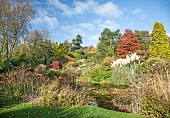 Mature trees and shrubs overlooking pond in full autumn colour