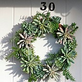 Door Wreath of living succulent plants