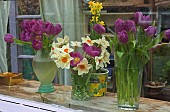 Through the window, Tulips and Daffodils in vases