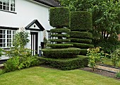 Black and Whitte cottage with clipped Yew Topiary