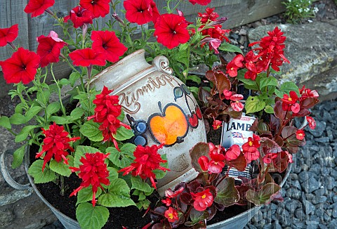 Red_Petunias_Red_Begonias_in_container