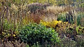 Mixed borders from a wide variety of perennials and ornamental grasses