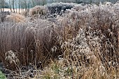 Frosted borders of ornamental grasses, perennial stems leaves and seed heads