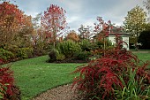 Arboretum in autumn with summer house