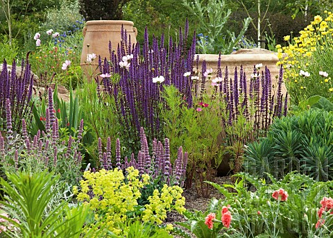 Summer_flowering_herbaceous_perennials_large_ornate_containers_in_gravel
