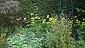 Borders with spring flowers with mature shrubs in outstanding country garden