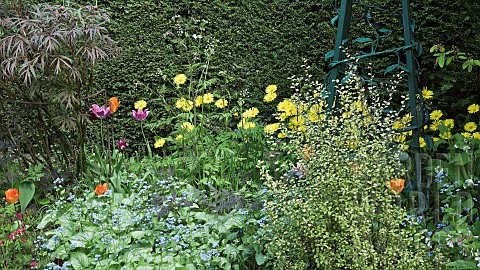 Borders_with_spring_flowers_with_mature_shrubs_in_outstanding_country_garden