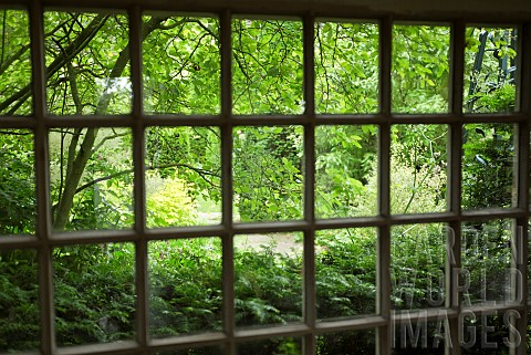View_out_from_old_windowsummerhouse_to_garden