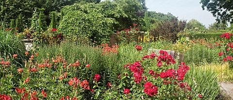 Typical_Hot_Border_of_strong_reds_orange_and_yellow_herbaceous_perennials